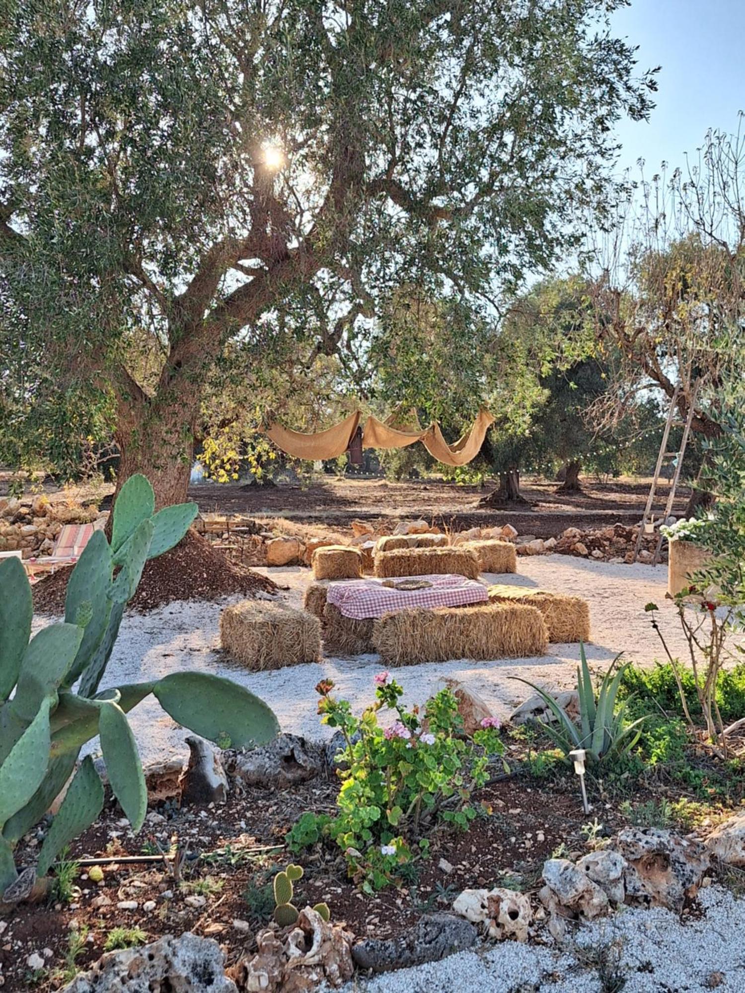 Residenza Anima Mediterranea Франкавилла-Фонтана Экстерьер фото